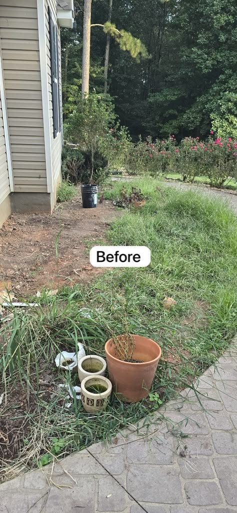 Leaf blowing and cleanup project photograph 6